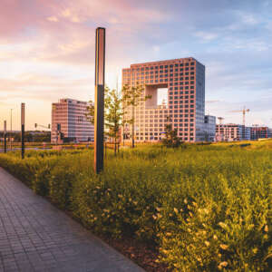 Company Domiciliation and Administration